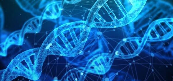 Qlik is one of the main assistants of Life Science companies