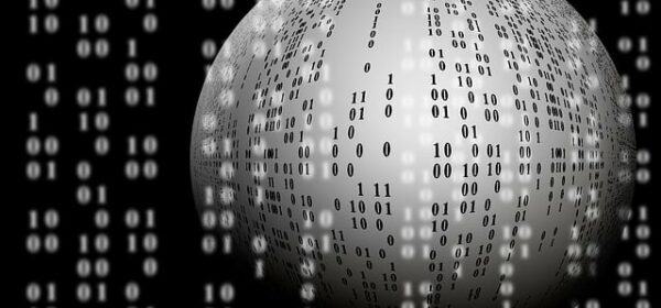 Data literacy as the second business language