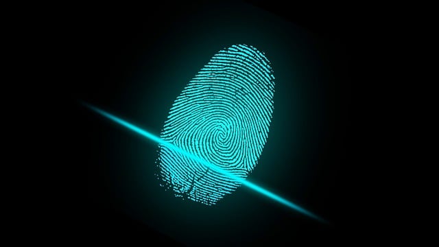 https://pixabay.com/illustrations/finger-fingerprint-security-digital-2081169/