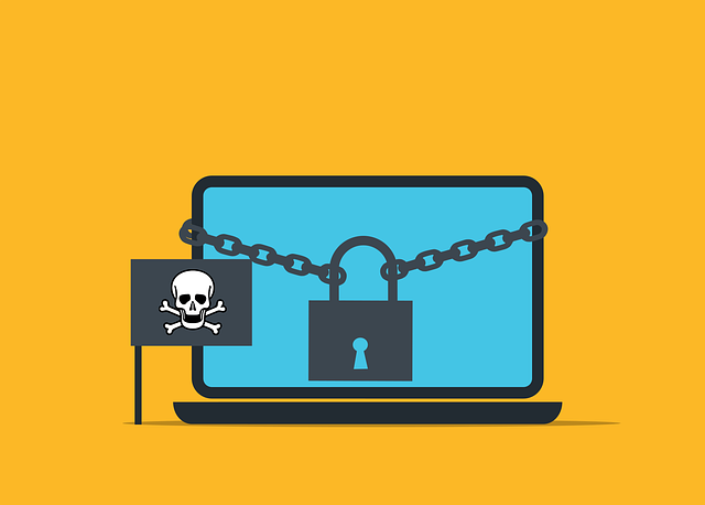 https://pixabay.com/vectors/malware-ransomware-scam-fraud-7020225/