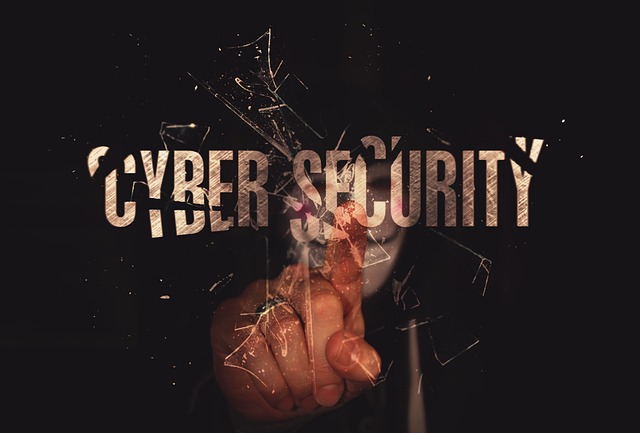 https://pixabay.com/photos/cyber-security-internet-security-2851201/