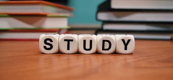 Effectiveness of BI usage in education